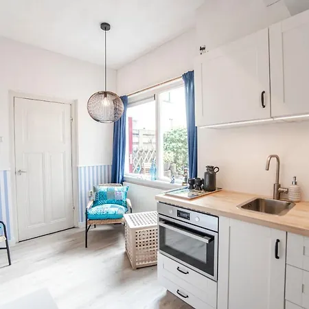 Zonnebloem Zandvoort