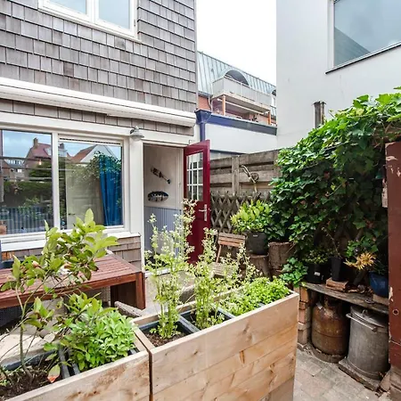 Zonnebloem * Zandvoort