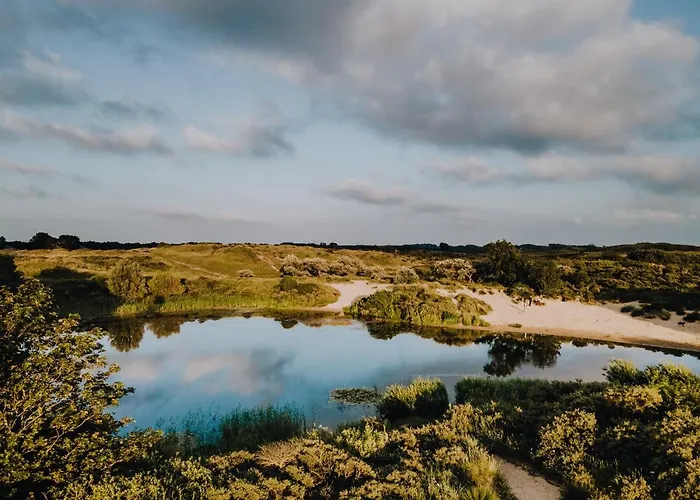 Zonnebloem Zandvoort