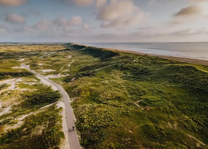 Zonnebloem * Zandvoort