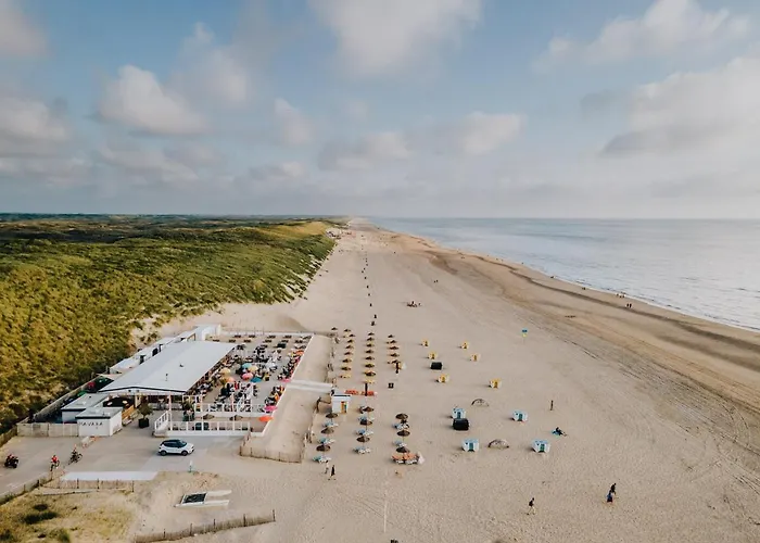 Zonnebloem Zandvoort