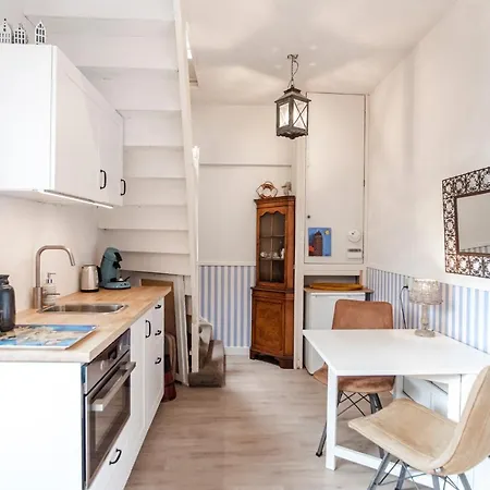 Zonnebloem Zandvoort