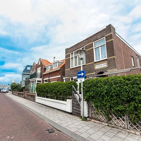 Zonnebloem
