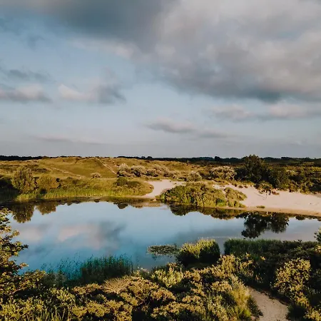 Zonnebloem Zandvoort