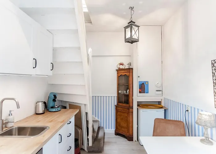 Zonnebloem 赞德沃特