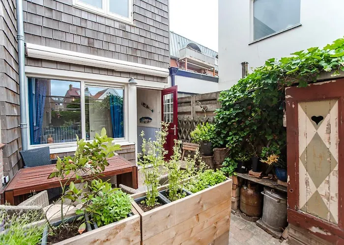 Zonnebloem * 赞德沃特