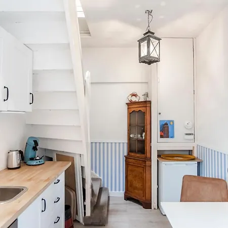 Zonnebloem Zandvoort