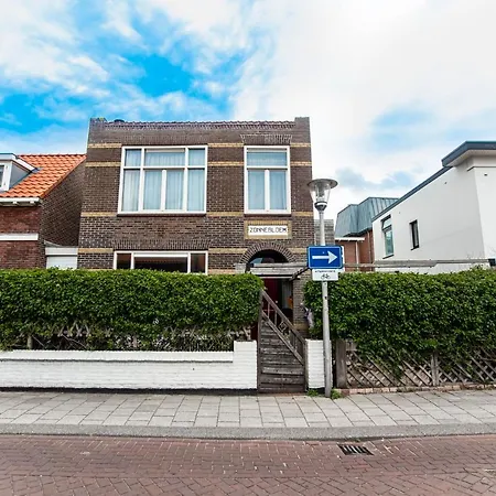 Zonnebloem Zandvoort