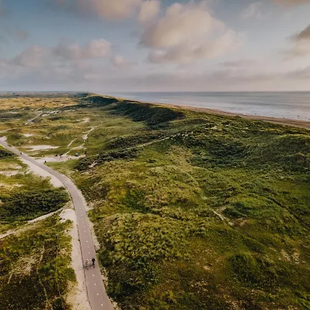 Zonnebloem * Zandvoort